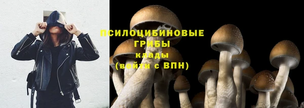 СК Козловка