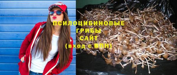 винт Козельск