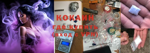 бошки Каменногорск