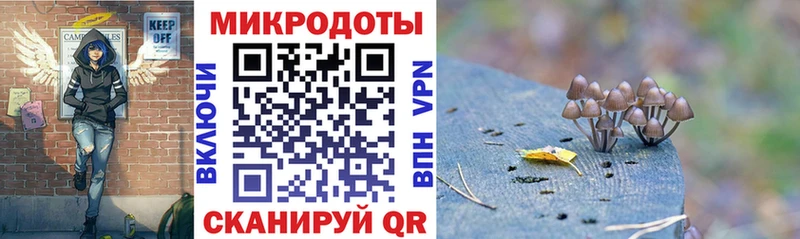 наркошоп  Куса  Галлюциногенные грибы мицелий 